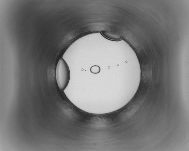 X0000110920207200907161526