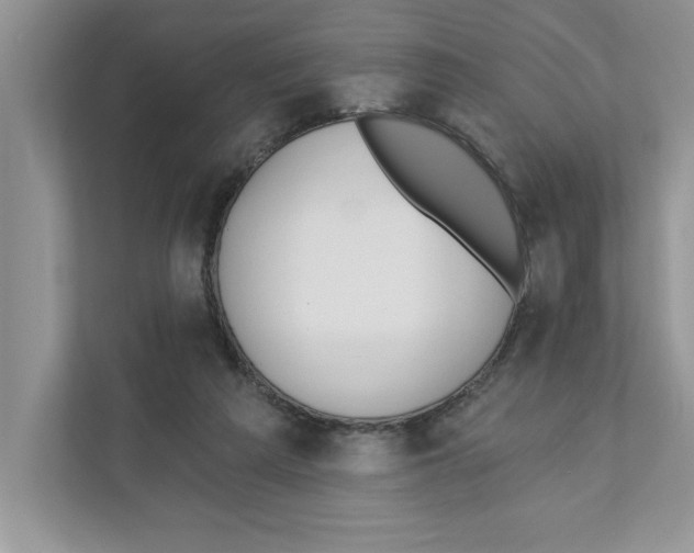 X0000110920209200907161526