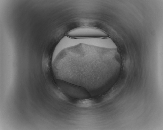 X0000110920219200907161525