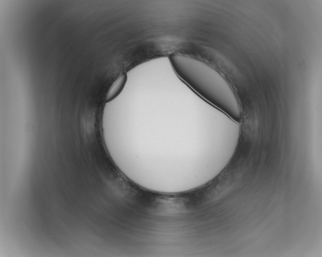 X0000110920221200907161525