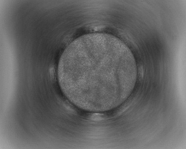 X0000110920222200907161525