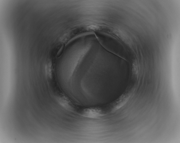 X0000110920223200907161525