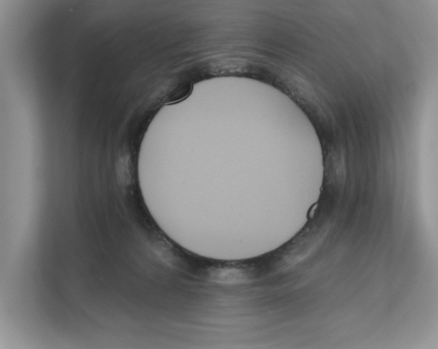 X0000110920224200907161525