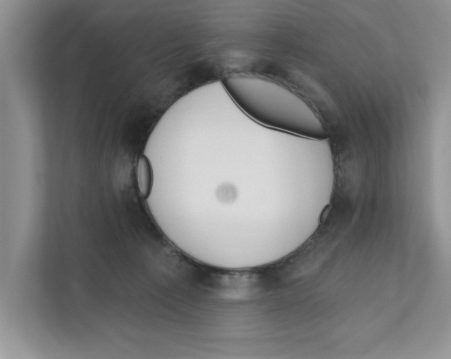 X0000110920225200907161525