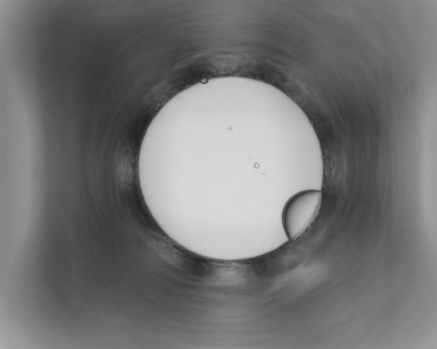 X0000110920226200907161525