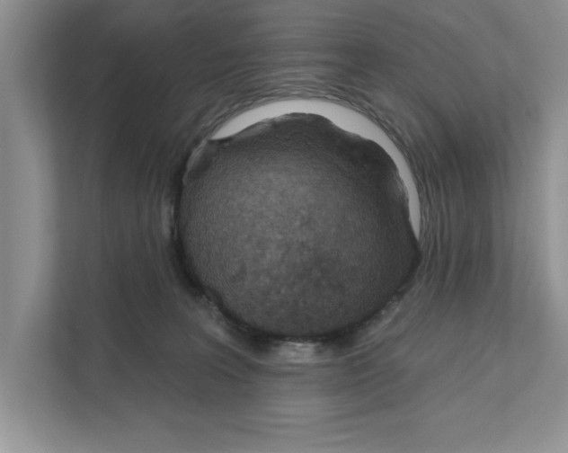 X0000110920227200907161525