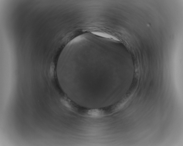 X0000110920231200907161525