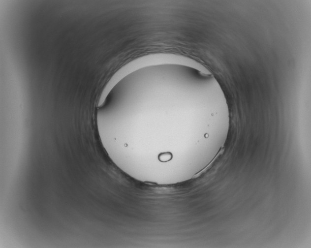 X0000110920233200907161525