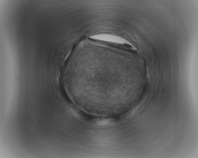 X0000110920235200907161525