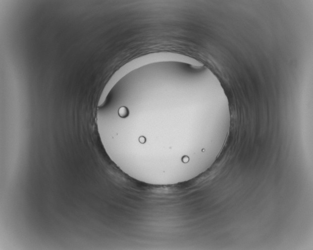 X0000110920237200907161525