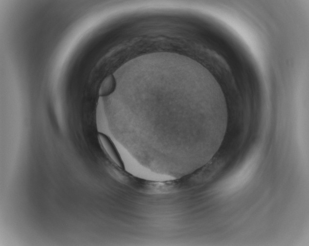 X0000110920239200907161525
