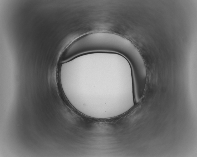 X0000110920244200907161525