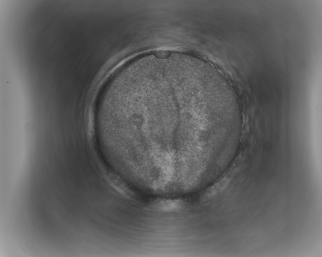 X0000110920247200907161525