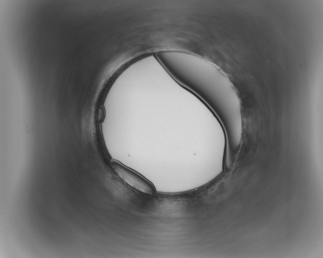 X0000110920248200907161525