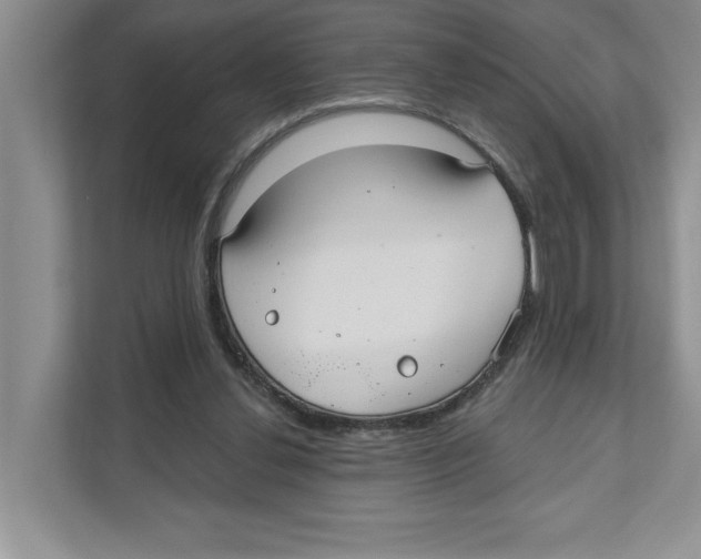 X0000110920252200907161525
