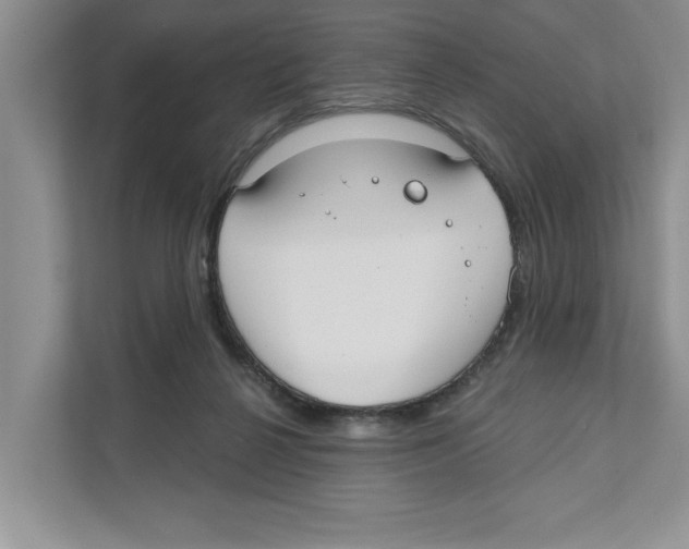 X0000110920264200907161525