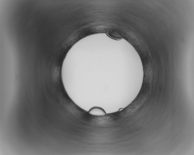 X0000110920278200907161525