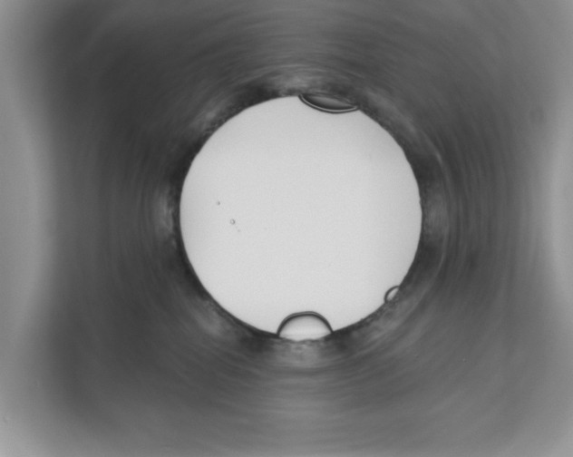 X0000110920282200907161525