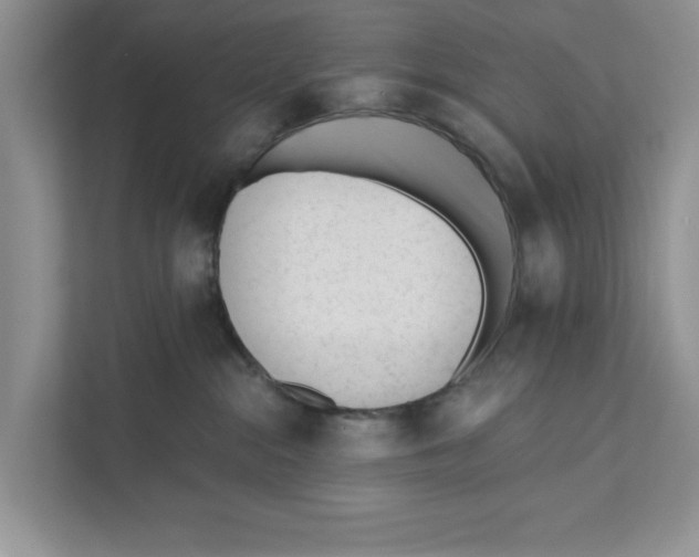 X0000110920284200907161525