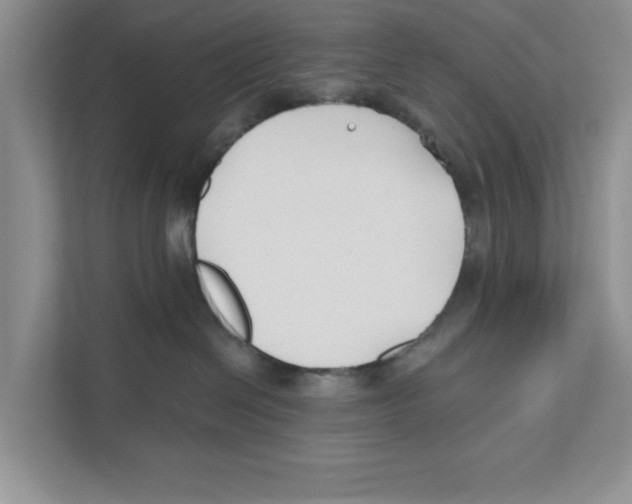 X0000110920286200907161525