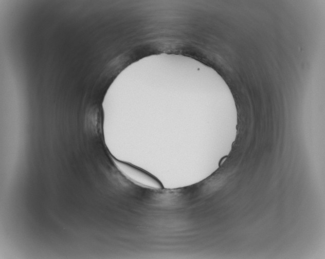 X0000110920288200907161525