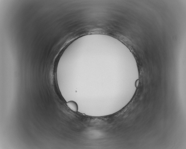 X0000110920290200907161525