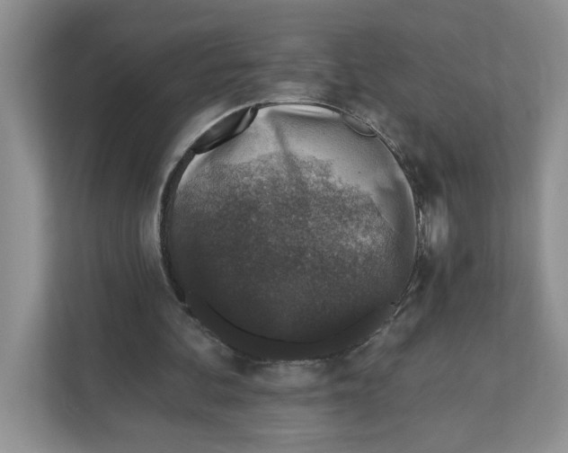 X0000110920292200907161525