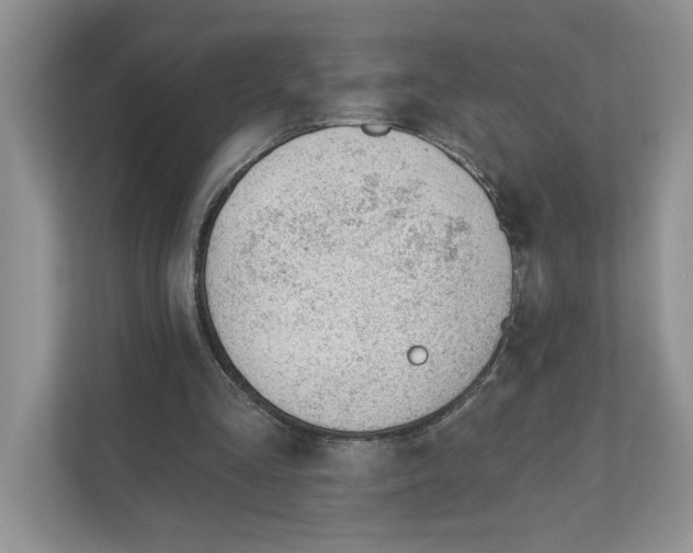 X0000110920293200907161525