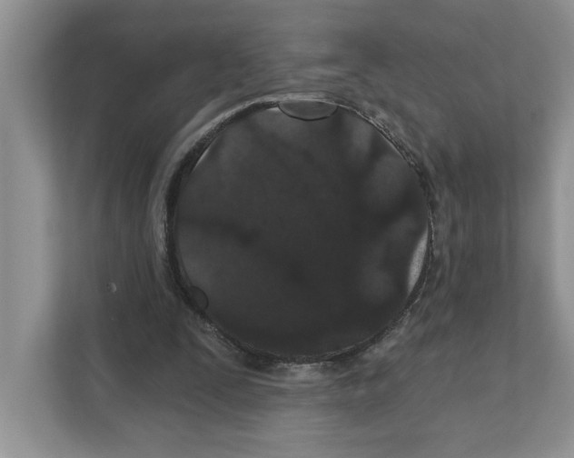 X0000110920295200907161524