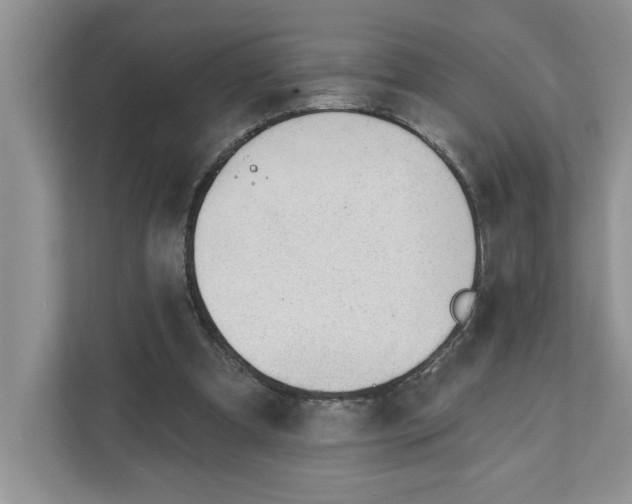 X0000110920297200907161524