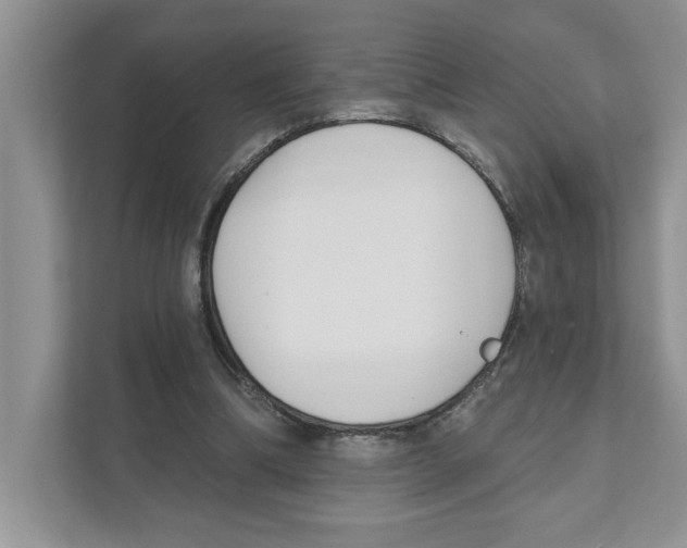 X0000110920298200907161524