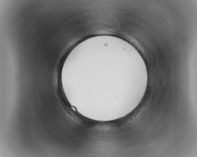 X0000110920299200907161524