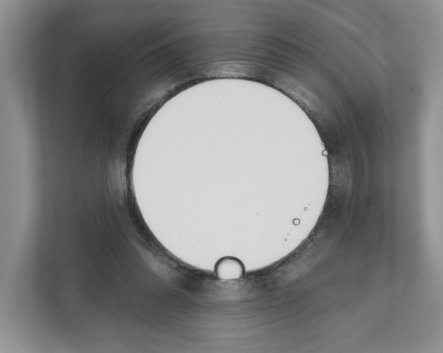X0000110920302200907161524