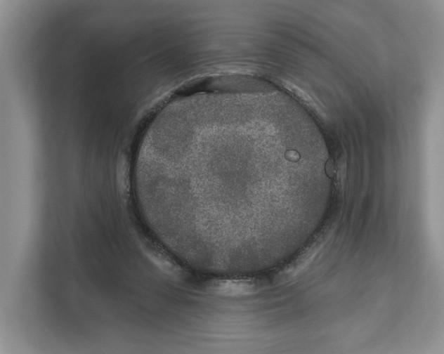 X0000110920303200907161524