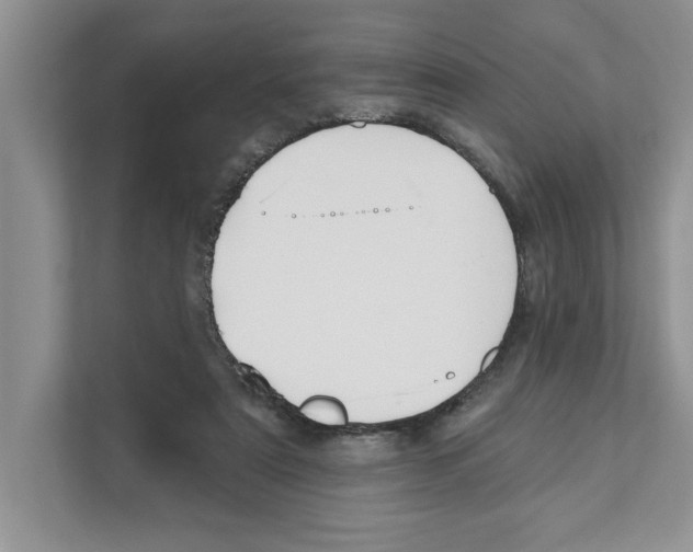 X0000110920307200907161524