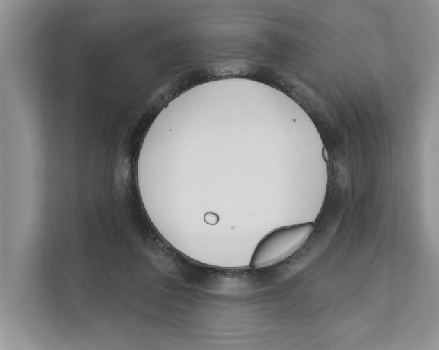 X0000110920308200907161524