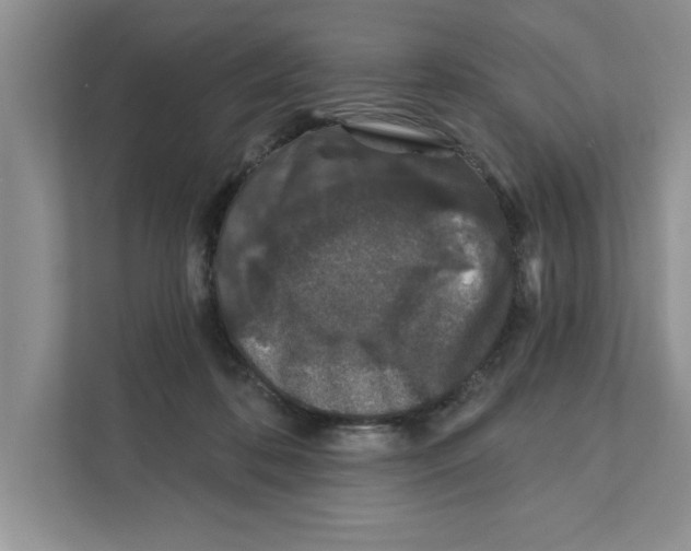 X0000110920316200907161524