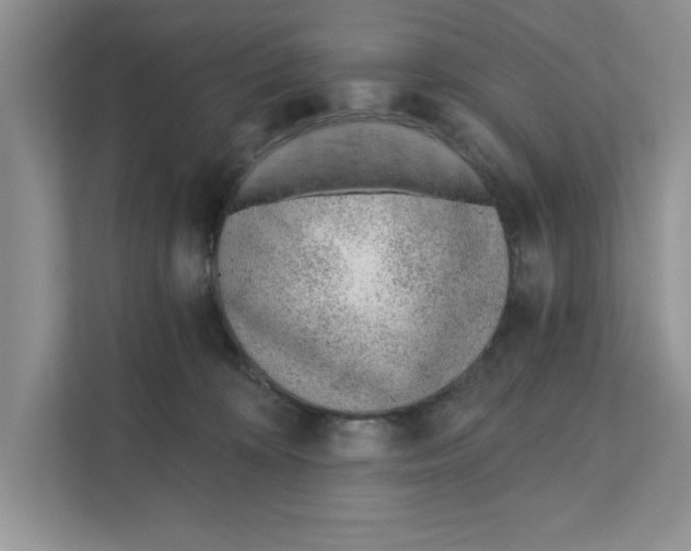 X0000110920324200907161524