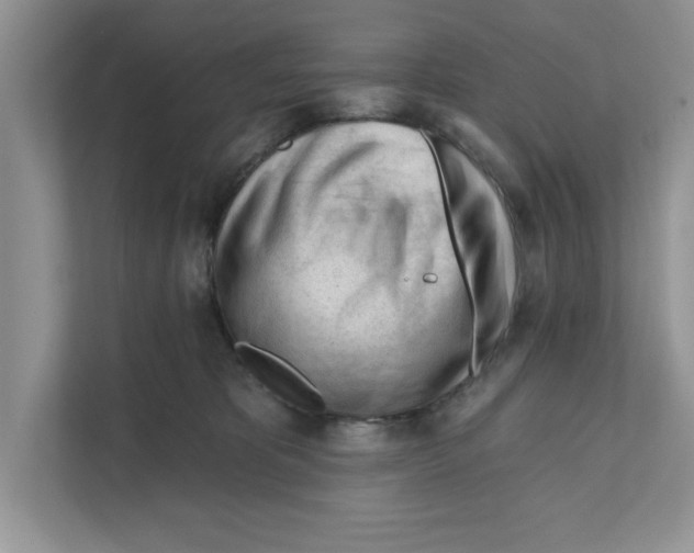 X0000110920325200907161524