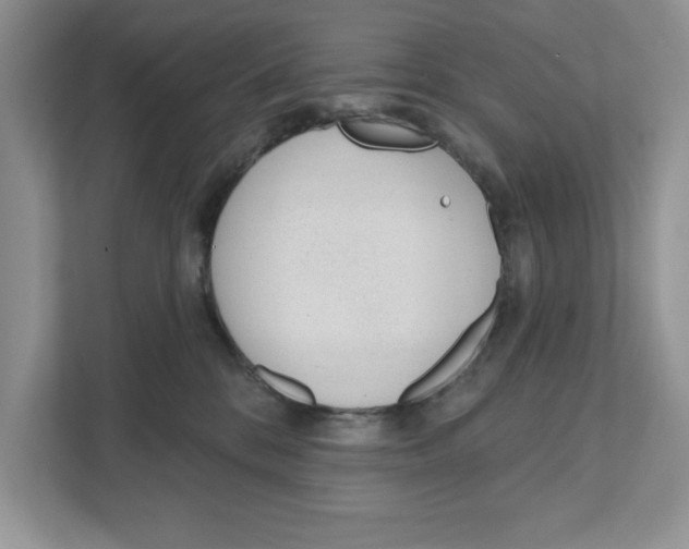 X0000110920328200907161524