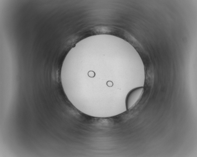 X0000110920330200907161524