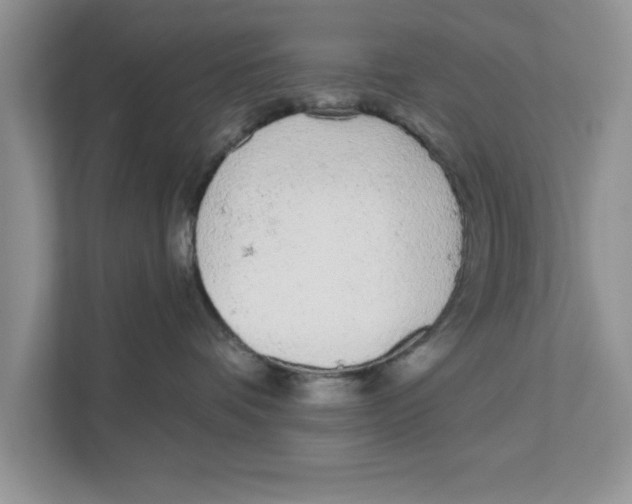 X0000110920336200907161524