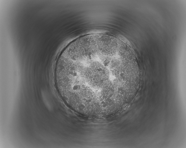 X0000110920337200907161523
