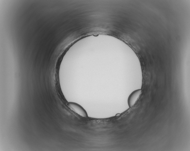 X0000110920338200907161523