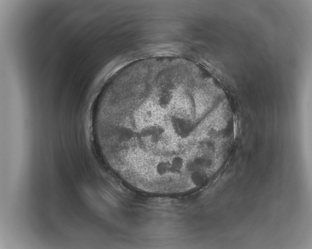 X0000110920339200907161523