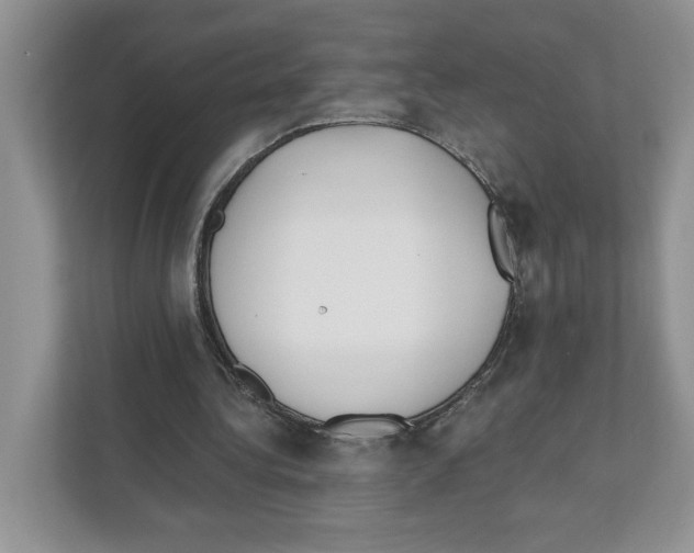 X0000110920340200907161523