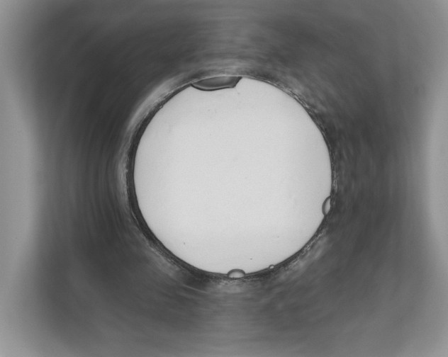 X0000110920341200907161523