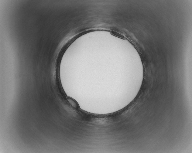 X0000110920344200907161523