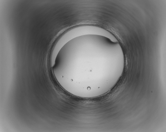 X0000110920348200907161523