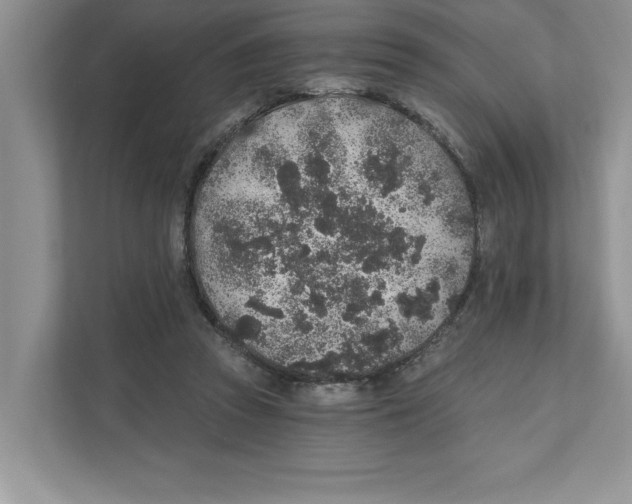 X0000110920353200907161524